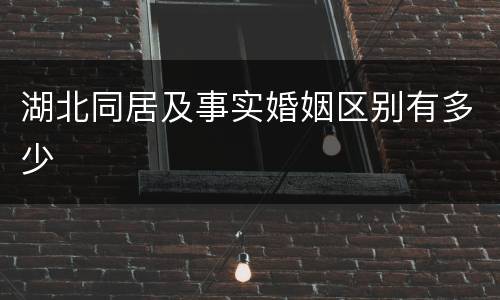 湖北同居及事实婚姻区别有多少