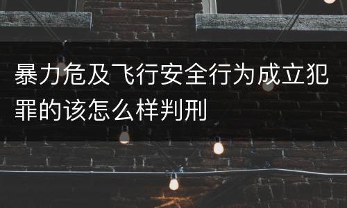 暴力危及飞行安全行为成立犯罪的该怎么样判刑
