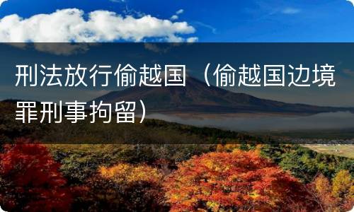 刑法放行偷越国（偷越国边境罪刑事拘留）