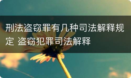 刑法盗窃罪有几种司法解释规定 盗窃犯罪司法解释