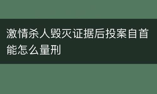 激情杀人毁灭证据后投案自首能怎么量刑