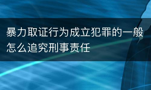 暴力取证行为成立犯罪的一般怎么追究刑事责任