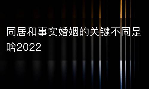 同居和事实婚姻的关键不同是啥2022