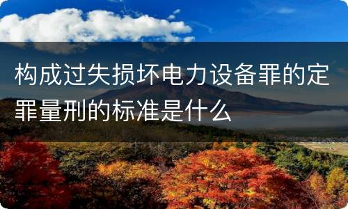 构成过失损坏电力设备罪的定罪量刑的标准是什么