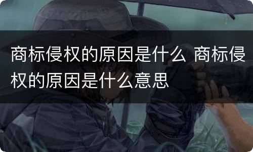 商标侵权的原因是什么 商标侵权的原因是什么意思