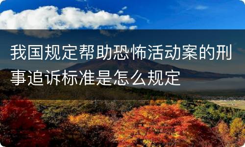 我国规定帮助恐怖活动案的刑事追诉标准是怎么规定