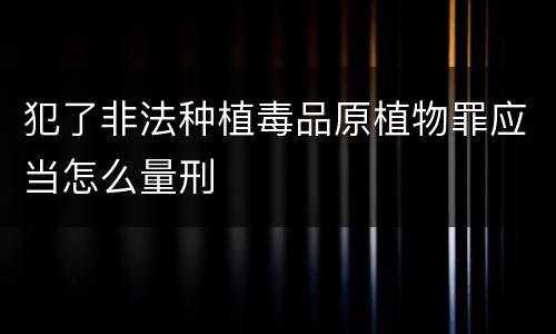 犯了非法种植毒品原植物罪应当怎么量刑