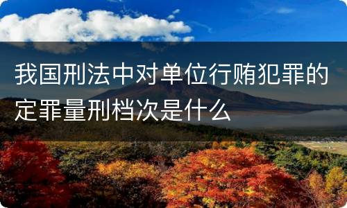 我国刑法中对单位行贿犯罪的定罪量刑档次是什么