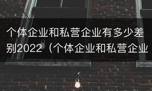 个体企业和私营企业有多少差别2022（个体企业和私营企业有什么区别和联系）