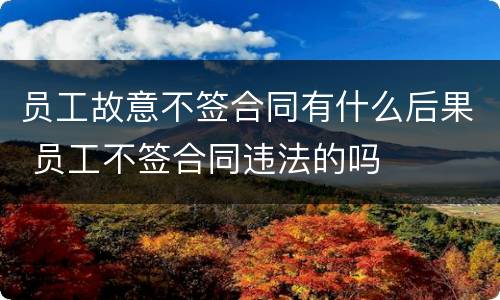 员工故意不签合同有什么后果 员工不签合同违法的吗