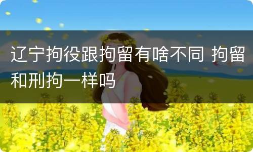 辽宁拘役跟拘留有啥不同 拘留和刑拘一样吗