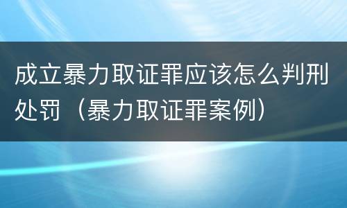 成立暴力取证罪应该怎么判刑处罚（暴力取证罪案例）