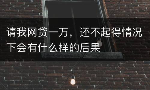 请我网贷一万，还不起得情况下会有什么样的后果