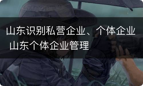 山东识别私营企业、个体企业 山东个体企业管理