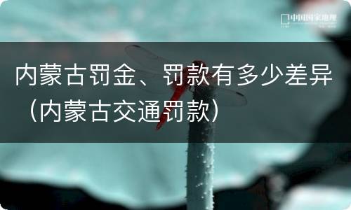 内蒙古罚金、罚款有多少差异（内蒙古交通罚款）