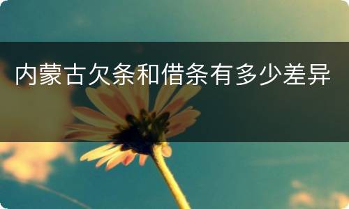 内蒙古欠条和借条有多少差异