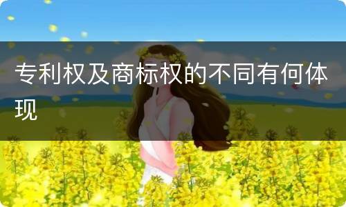 专利权及商标权的不同有何体现