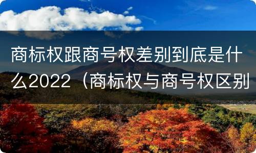 商标权跟商号权差别到底是什么2022（商标权与商号权区别）