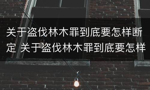关于盗伐林木罪到底要怎样断定 关于盗伐林木罪到底要怎样断定的