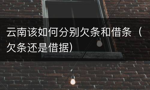 云南该如何分别欠条和借条（欠条还是借据）