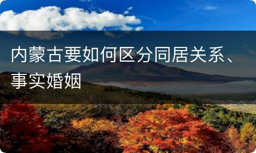 内蒙古要如何区分同居关系、事实婚姻