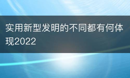实用新型发明的不同都有何体现2022
