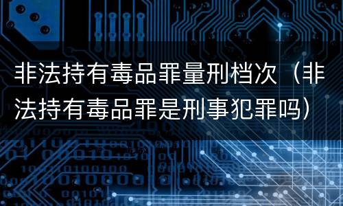 非法持有毒品罪量刑档次（非法持有毒品罪是刑事犯罪吗）