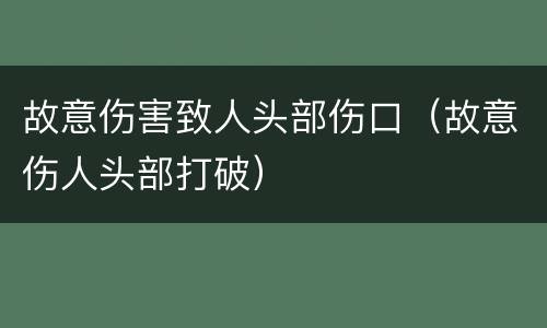 故意伤害致人头部伤口（故意伤人头部打破）