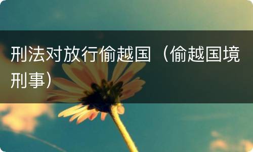 刑法对放行偷越国（偷越国境刑事）