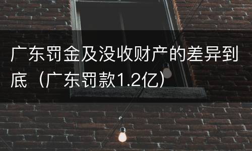 广东罚金及没收财产的差异到底（广东罚款1.2亿）