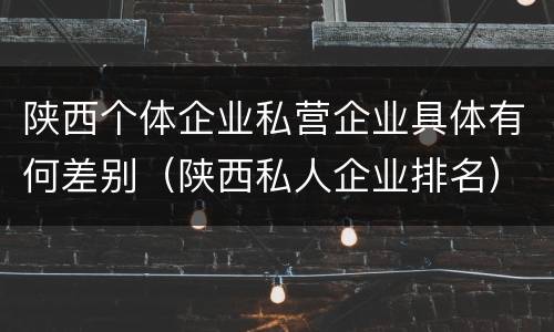 陕西个体企业私营企业具体有何差别（陕西私人企业排名）