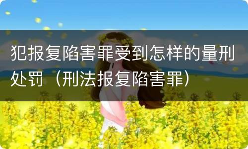 犯报复陷害罪受到怎样的量刑处罚（刑法报复陷害罪）