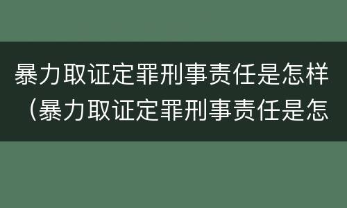 暴力取证定罪刑事责任是怎样（暴力取证定罪刑事责任是怎样定义的）
