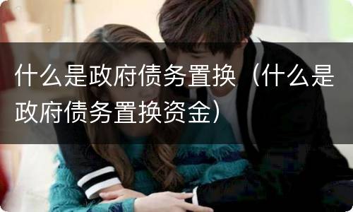 什么是政府债务置换（什么是政府债务置换资金）