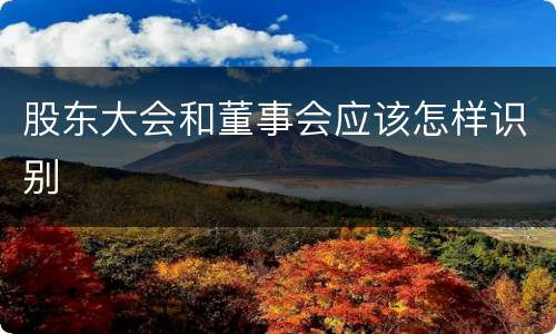 股东大会和董事会应该怎样识别