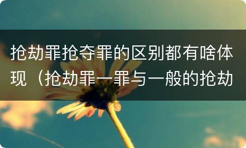 抢劫罪抢夺罪的区别都有啥体现（抢劫罪一罪与一般的抢劫罪区别）