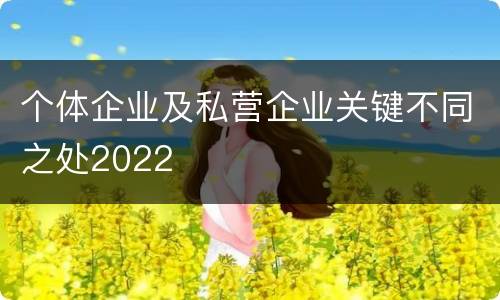 个体企业及私营企业关键不同之处2022