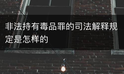非法持有毒品罪的司法解释规定是怎样的