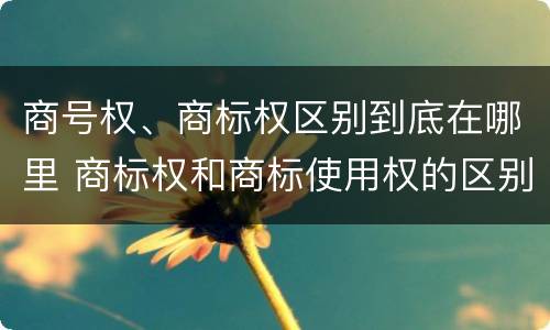 商号权、商标权区别到底在哪里 商标权和商标使用权的区别