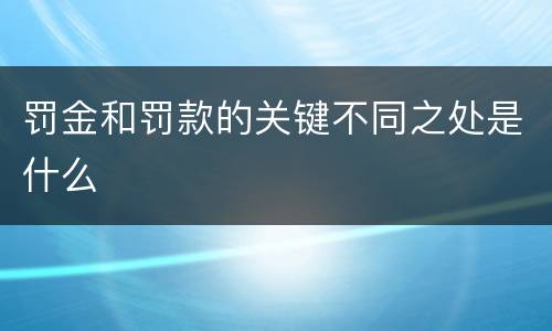 罚金和罚款的关键不同之处是什么