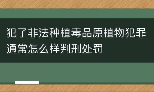 犯了非法种植毒品原植物犯罪通常怎么样判刑处罚