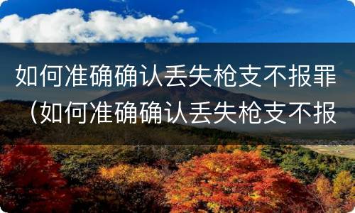如何准确确认丢失枪支不报罪（如何准确确认丢失枪支不报罪呢）
