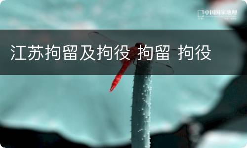 江苏拘留及拘役 拘留 拘役