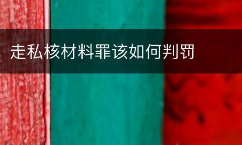 走私核材料罪该如何判罚