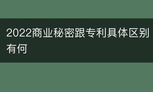 2022商业秘密跟专利具体区别有何