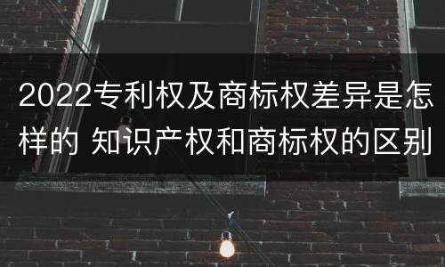 2022专利权及商标权差异是怎样的 知识产权和商标权的区别