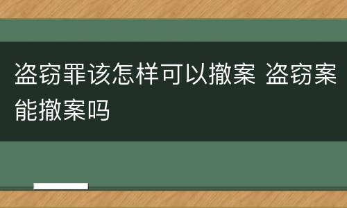 盗窃罪该怎样可以撤案 盗窃案能撤案吗