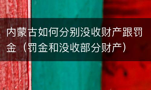 内蒙古如何分别没收财产跟罚金（罚金和没收部分财产）