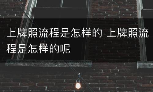 上牌照流程是怎样的 上牌照流程是怎样的呢