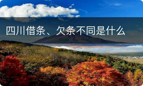 四川借条、欠条不同是什么